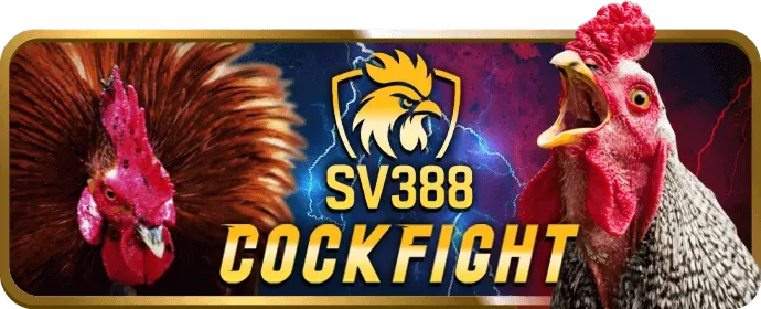 Lời khuyên khi sử dụng thưởng f368 win